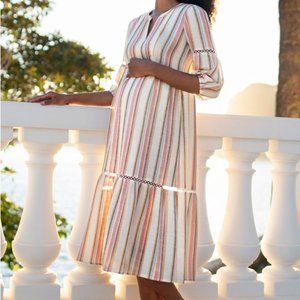 Seraphine Lace Trim Vintage Stripe Midi Maternity to Nursing Dress